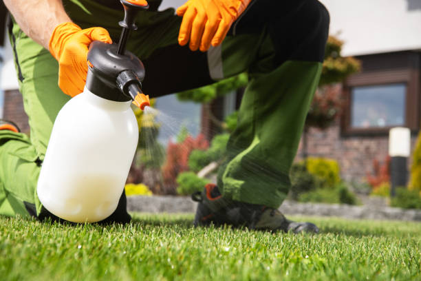 Professional Pest Control in Brisbane, CA