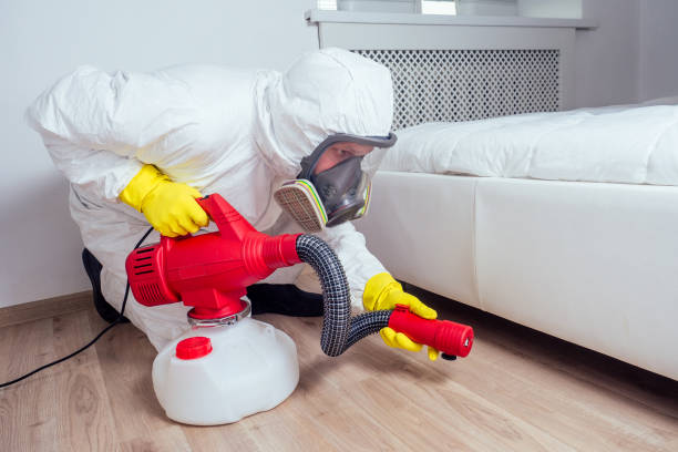 Best Pest Removal Services  in Brisbane, CA