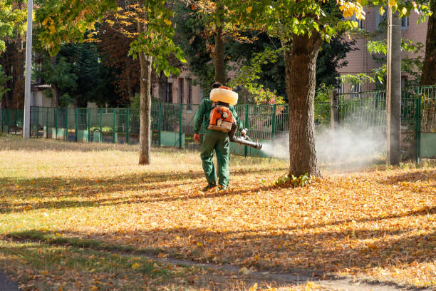 Best Flea Control Services  in Brisbane, CA